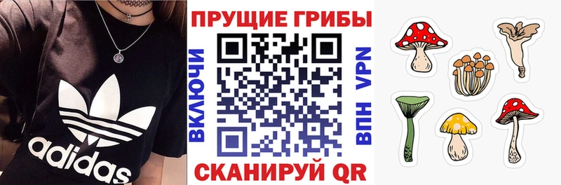 Псилоцибиновые грибы мицелий  Лабытнанги 
